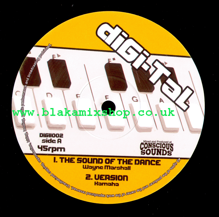 10" The Sound Of The Dance/Basic WAYNE MARSHALL/MIKEY GENERAL