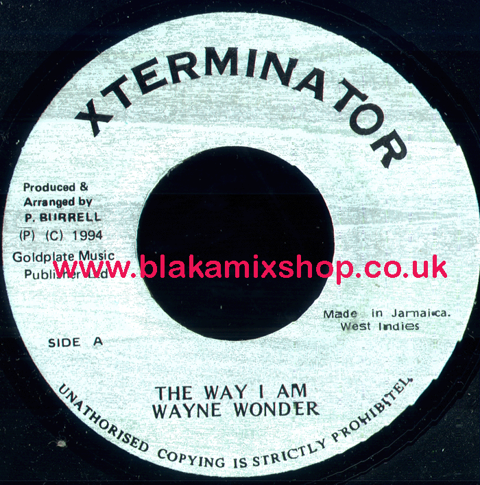 7" The Way I Am/Version WAYNE WONDER