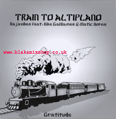 12" Train To Altiplano/Dub NAJAVIBES feat. KIKE GALDAMES & MA