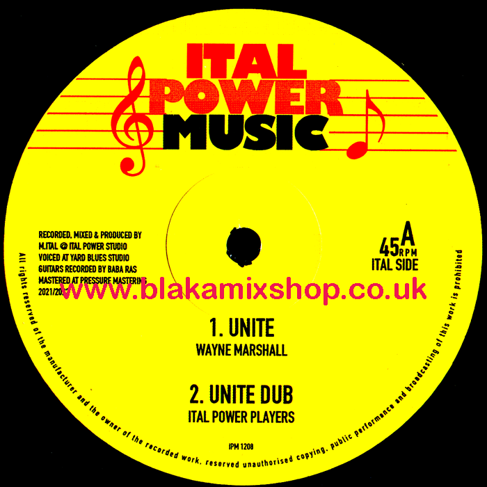 12" Unite/Realms Of My Vision WAYNE MARSHALL/M. ITAL