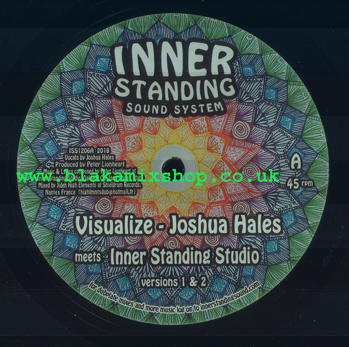 12" Visualize/Feel The Pain- JOSHUA HALES/FIKIR AMLAK & RAS AML