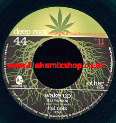 7" Wake Up/Dub- ITAL NOIZ