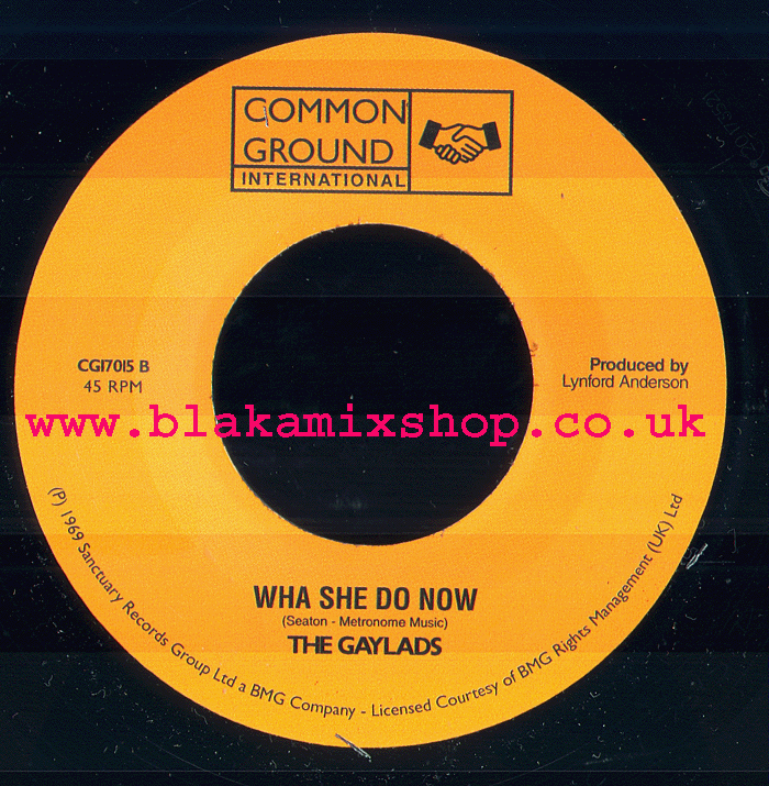 7" Wha She Do Now/You Had Your Chance THE GAYLADS