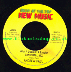 7" What A Gwan In A Babylon [Radio Mix]/Version ANDREW PAUL