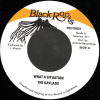 7" What A Situation/Version- GAYLADS