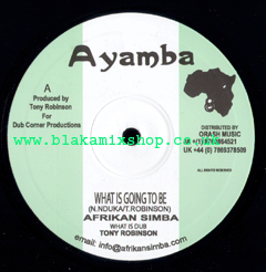 10" What Is Going To Be/Life Inna Jail House AFRIKAN SIMBA