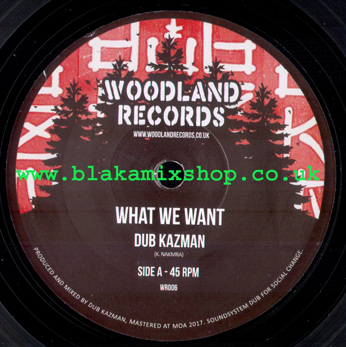 7" What We want/What we need- DUB KAZMAN