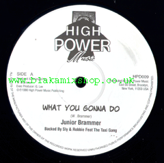 12" What You Gonna Do/Slam Bam JUNIOR BRAMMER/GENERAL LEE