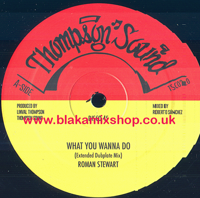 12" What Do You Wanna Do/Africa ROMAN STEWART/NAZAMBA