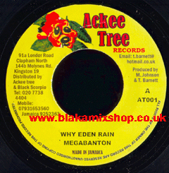 7" Why Eden Rain/Riddim - MEGABANTON