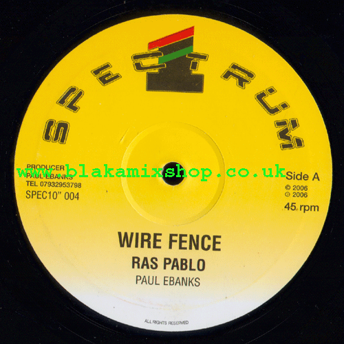 10" Wire Fence/Turban & Rose - RAS PABLO
