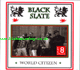 2X LP World Citizen - BLACK SLATE
