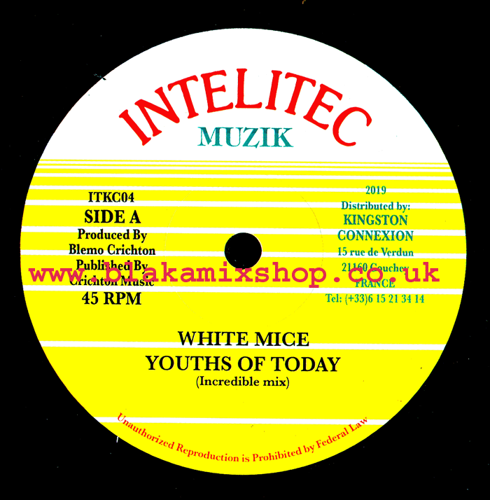 7" Youths Of Today [Incredible Mix]/Dub WHITE MICE